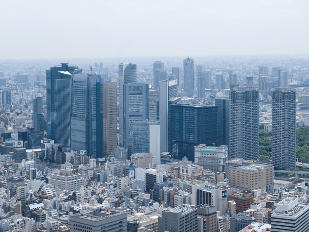 社会の画像