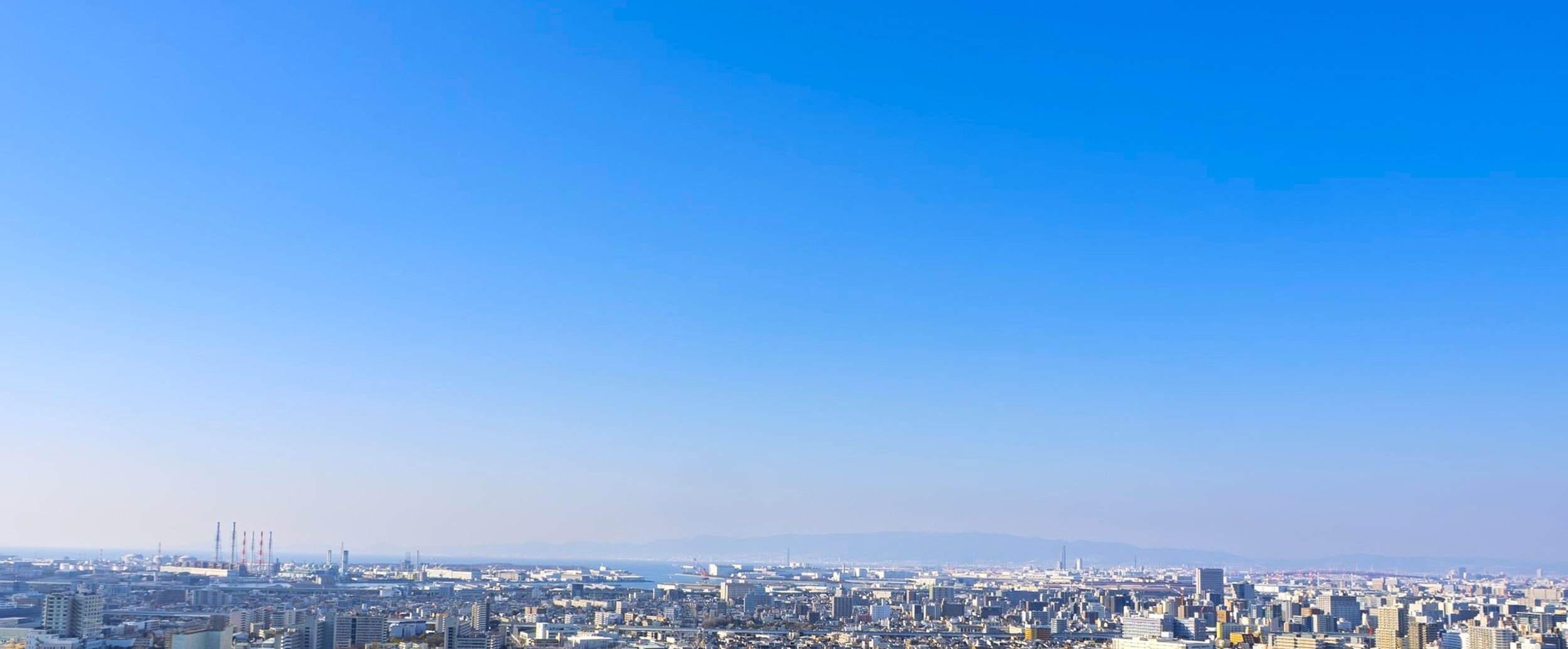 NTTタウンページ株式会社［NTT TownPage Corporation］